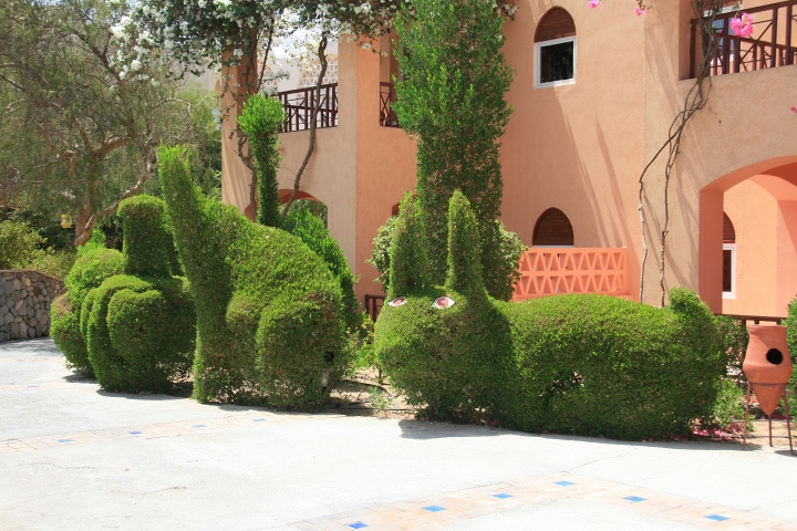 Vakantie Egypte 2010-390.jpg